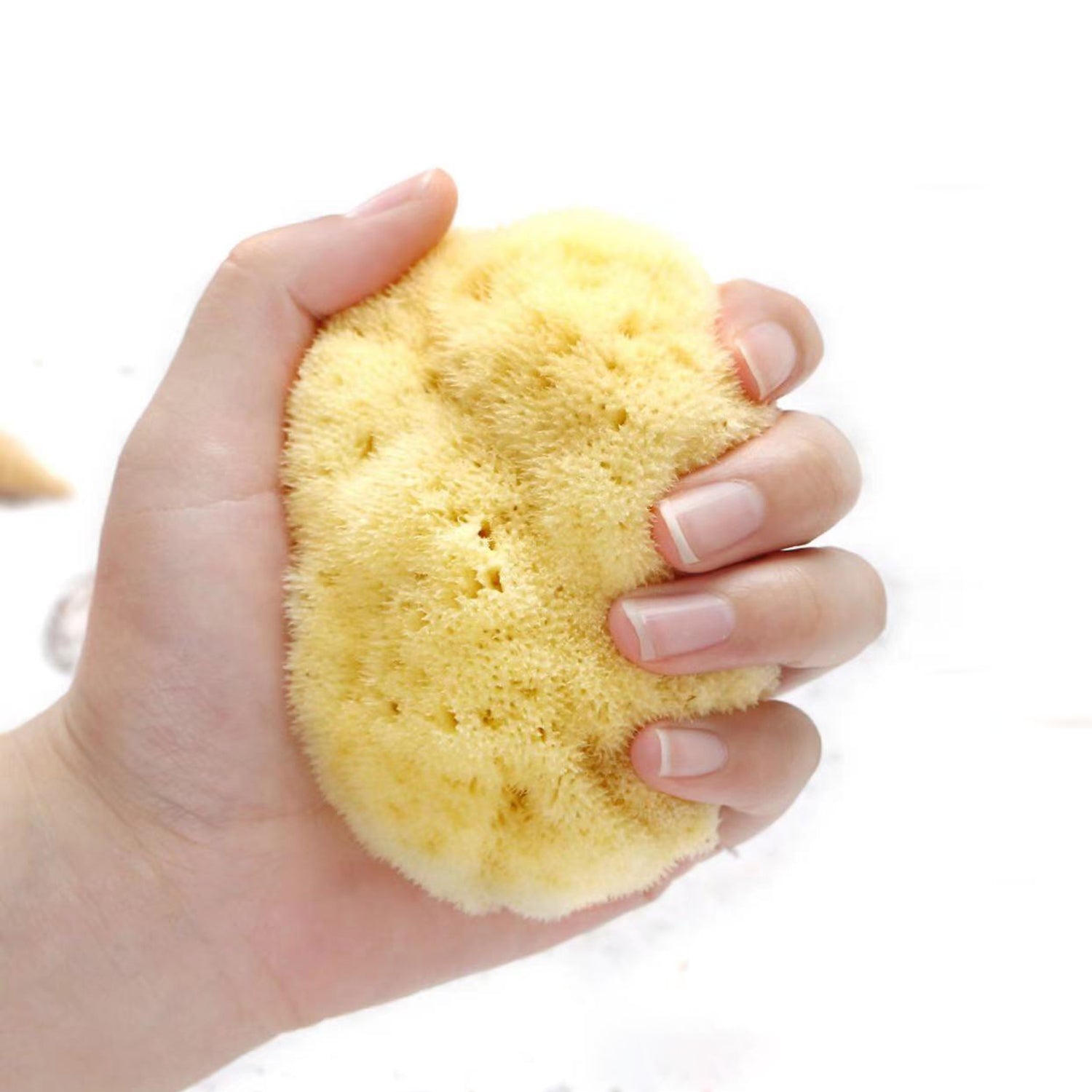 NATURAL + SUSTAINABLE BATH SEA SPONGES - PREMIUM